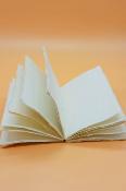Carnet imprimé floral