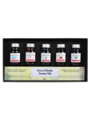 Coffret 5 encres